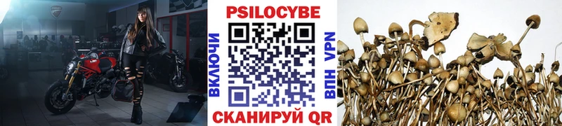 купить наркотик  Вичуга  гидра ссылка  Псилоцибиновые грибы MAGIC MUSHROOMS 