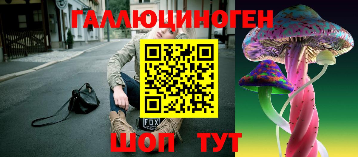 Псилоцибиновые грибы GOLDEN TEACHER  Вичуга 