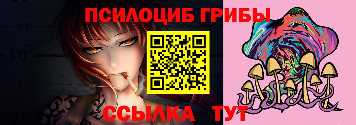 Псилоцибиновые грибы Psilocybine cubensis  Вход с VPN  Вичуга 