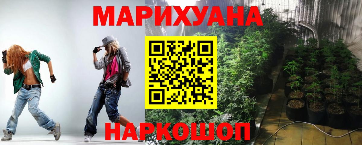 Бошки марихуана гибрид  Бошки марихуана MAZAR  Конопля семена  Вичуга  Конопля White Widow 